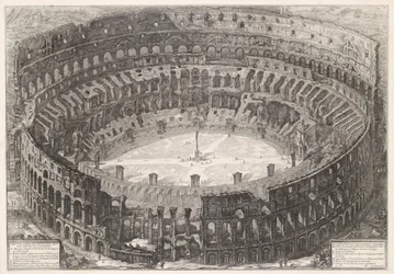 View of the Colosseum from a Bird